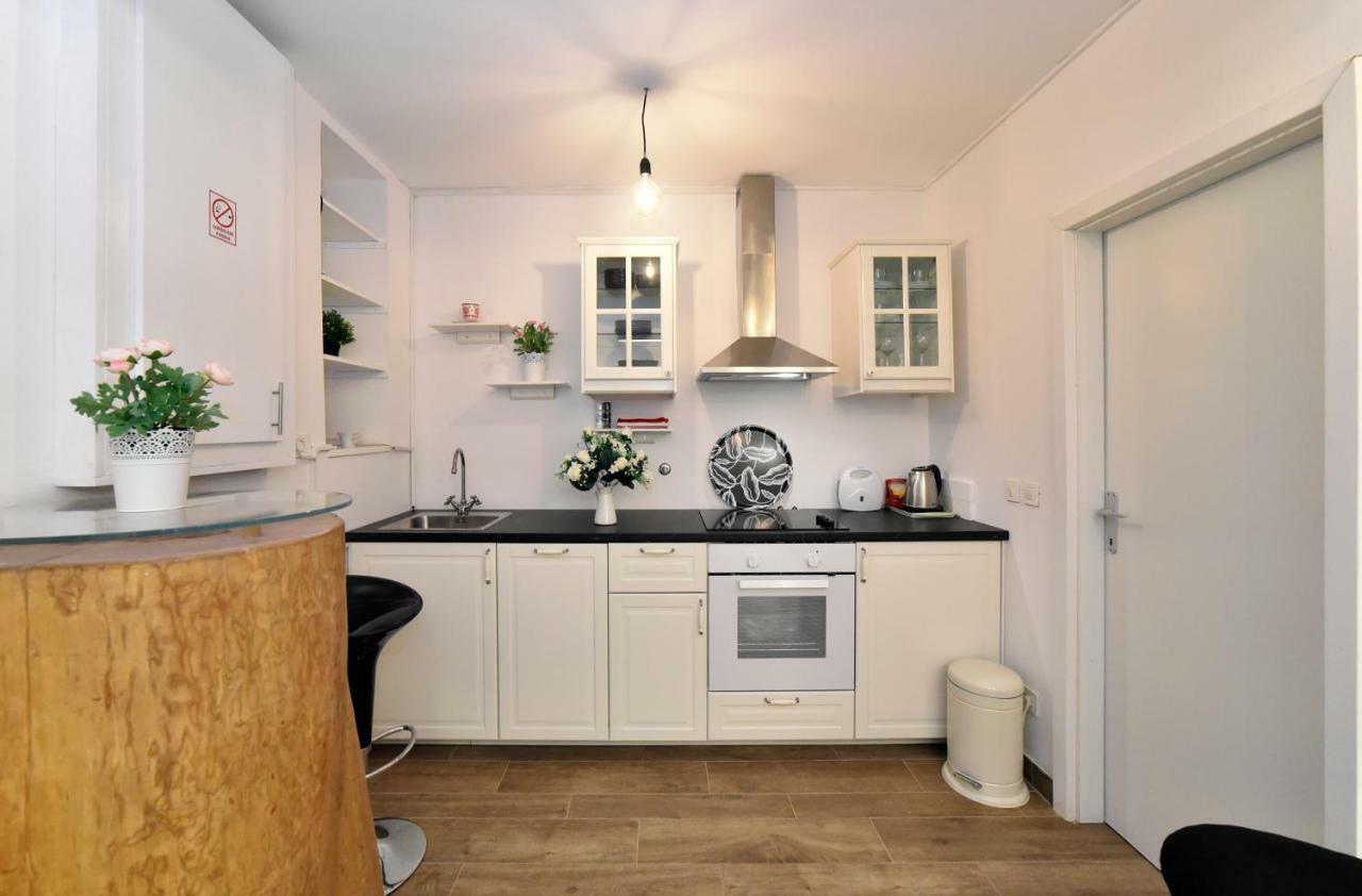Ban Jelacic Apartment 萨格勒布 外观 照片